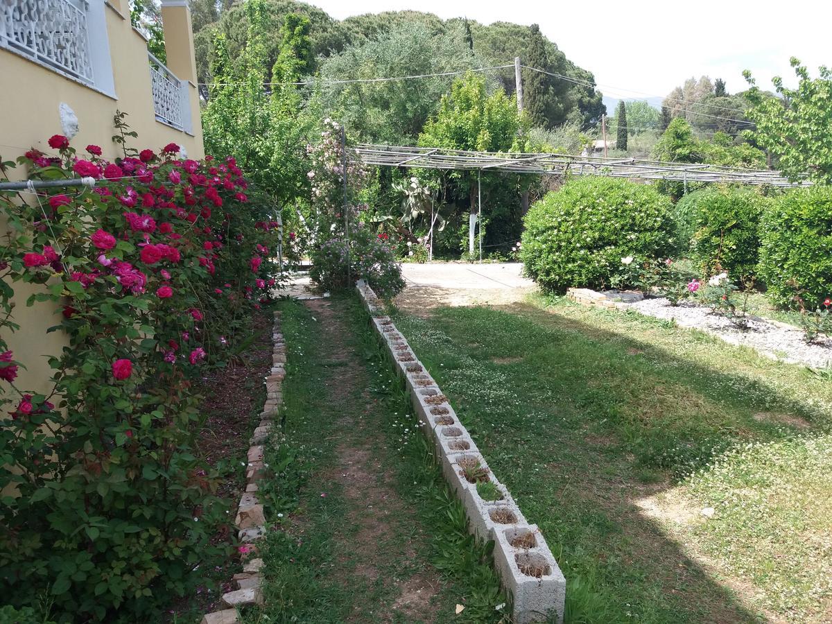 Athineos Apartments Kommeno  Exterior photo