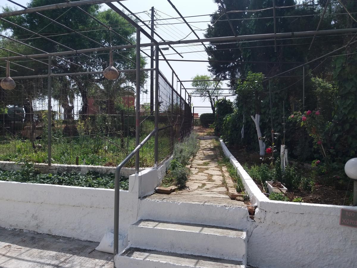 Athineos Apartments Kommeno  Exterior photo